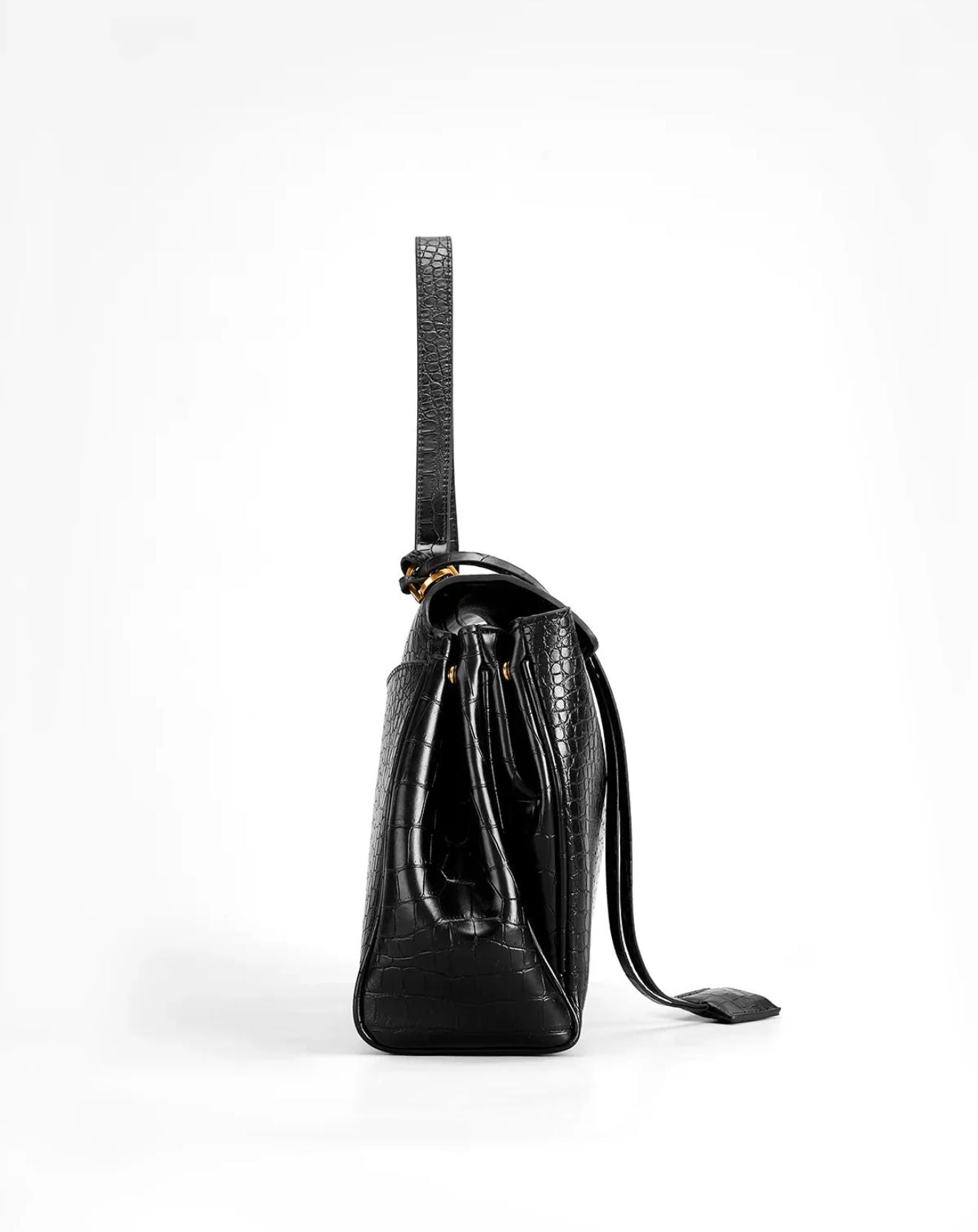 Celine Bag Limited Edition