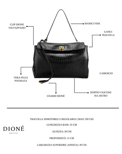Celine Bag Limited Edition